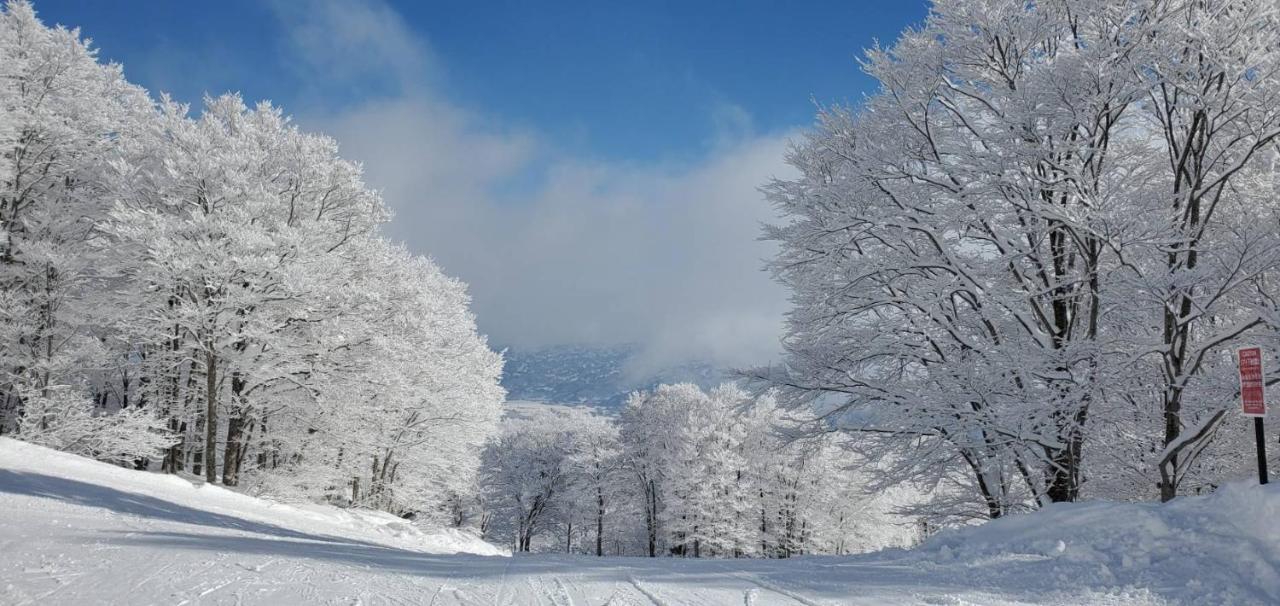 Konayuki Hotell Myoko Exteriör bild