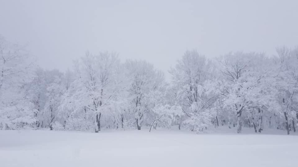 Konayuki Hotell Myoko Exteriör bild